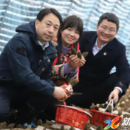 政企协同破局 栗山坪村产业“造血”力显成效