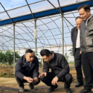 彭韬调研乡村特色产业发展和民生实事项目建设情况