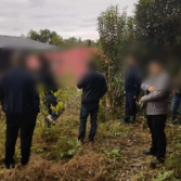 一垄菜地隔开两家心 一条浅沟连通邻里情——枫林街道巧解土地纠纷见证乡村温度