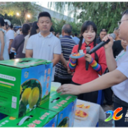 政企同心 绘就重点帮扶村振兴答卷