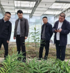 邹剑锋调研督导部分重点项目建设、文印产业发展、巩固拓展脱贫攻坚成果同乡村振兴有效衔接等当前重点工作