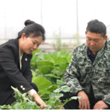 代表委员风采 | 新化县人大代表吴雪红 以匠心守乡土本味 用初心助乡亲共富