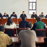 学习贯彻党的二十届四中全会精神 | 彭韬到枫林街道宣讲党的二十届四中全会精神并调研相关重点工作