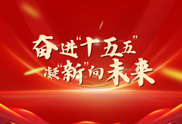  专题 | 奋进“十五五” 凝“新”向未来 聚焦新化两会