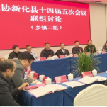 奋进“十五五” 凝“新”向未来 | 李峰参加政协新化县十四届五次会议乡镇二组联组讨论
