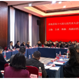 梅山潮涌·奋楫争先 | 彭韬参加上梅 上渡 枫林  高新区代表团讨论