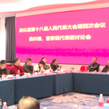 梅山潮涌·奋楫争先 | 李铁雄参加桑梓  曹家人大代表团讨论