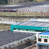 春耕备耕 | 上渡街道天竺村   万亩育秧基地春耕忙