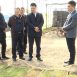 李峰调研督导春耕备耕  巡河等工作