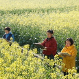 奉家镇举行乡村写生艺术节  绘就乡土情  再现乡村美