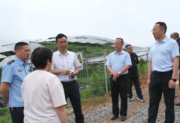 新化县政协开展光伏发电项目民主监督调研