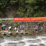 天门乡：守护千年鸟道 共绘生态画卷