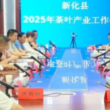 新化县召开茶叶产业工作会议