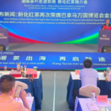 茶香飘万里 新化以茶为媒架中非友谊桥梁