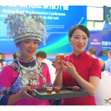 茶为桥 连山海 | 新化茶企亮相中非经贸博览会架起双向经贸纽带