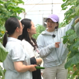 雁归潮涌·新活力 |  邹辉 在山野间种下农业与教育的希望