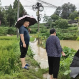 汛情不息 脚步不停  —— 游家镇全员坚守一线 筑牢防汛安全屏障