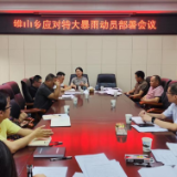 防汛救灾进行时 | 维山乡党员干部织密防汛安全网