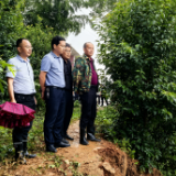 防汛救灾进行时 | 桑梓镇成功处置一起滑坡险情