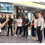 新化县政协调研县残联工作