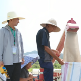 琅塘镇  “微肥替代化肥”种植技术  助力水稻增产提质