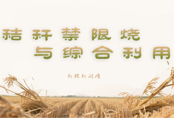 专题 | 秸秆禁限烧与综合利用