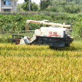 棣园生态农场 “碎秸还田” 铺就一片沃土