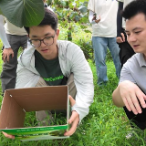 三下乡暑期社会实践 |  湖南人文科技学院"艺绘青春"团队助力荣华乡农特产品包装设计