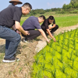 彭韬“四不两直”督查衔接资金管理使用情况  并调研指导粮食生产和抗旱工作