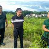 护鸟清网 | 白溪镇全面打响生态保卫战