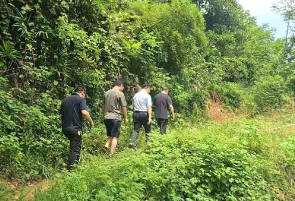 护鸟清网 | 石冲口镇对“护鸟清网” 专项行动再加压