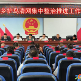 护鸟清网 | 维山乡开展“护鸟清网”专项行动
