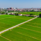解码文化自信的城市样本｜潮涌洞庭千帆劲——解码千年古郡岳阳的文化自信样本