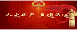 专题 | 人大之声·直通民心