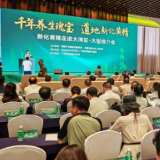 快讯｜“千年养生瑰宝 道地新化黄精”新化黄精走进大湾区大型推介会在广州举行