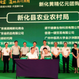 “千年养生瑰宝 道地新化黄精”新化黄精走进大湾区大型推介会在广州举行