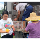 公益助农 | 新化县委社会工作部广泛动员  助黄桃销售