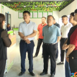 李峰到吉庆 曹家镇调研督导乡村振兴 产业发展等工作