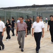 解密黄精之谜·开启产业未来 | 第五届全国林下生态黄精研讨会专家考察团实地调研我县黄精产业发展情况