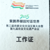 2025紫鹊界梯田对话世界 | 环保理念融入细节 新化农耕文化大会种子纸证件引关注