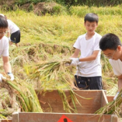 2025紫鹊界梯田对话世界 | “耕读紫鹊界”亲子农耕之旅启动 梯田对话世界增添童趣色彩