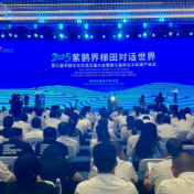 共赴千年农耕文明——2025“紫鹊界梯田对话世界”活动走笔｜湖南日报要闻头条