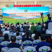2025第十七届湖南茶业博览会开幕 新化22家茶企组团参展