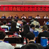 新化县搏击运动协会正式成立