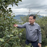 新化县林业局调研油茶产业工作
