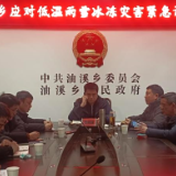 抗击冰雪 | 油溪乡 以雪为令齐奋战,守护民生显担当