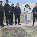 西藏山南市贡嘎县考察组来新考察调研黄精产业发展