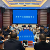 新化县召开黄精产业发展座谈会