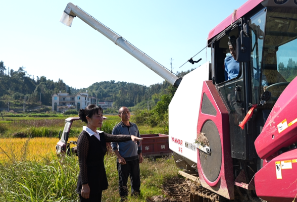 五年上新·蝶变新化丨喜迎两会·人大代表风采——邹慈秀  扎根田野   联农带农兴乡村