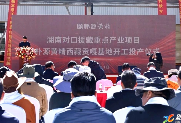 五年上新·蝶变新化丨喜迎两会·五年成就巡礼③  新化黄精 林下藏金添"精"彩  特色产业兴万家